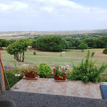 Gli Olivastri Con Piscina,Solarium, Vista Mare ,Sole -Mare E Tanta Natura ,Climatizzatore,Wifi 阿列恩图 外观 照片
