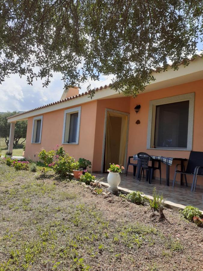 Gli Olivastri Con Piscina,Solarium, Vista Mare ,Sole -Mare E Tanta Natura ,Climatizzatore,Wifi 阿列恩图 外观 照片