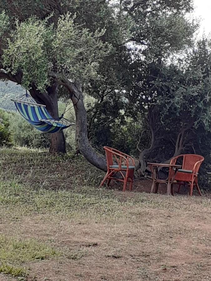 Gli Olivastri Con Piscina,Solarium, Vista Mare ,Sole -Mare E Tanta Natura ,Climatizzatore,Wifi 阿列恩图 外观 照片