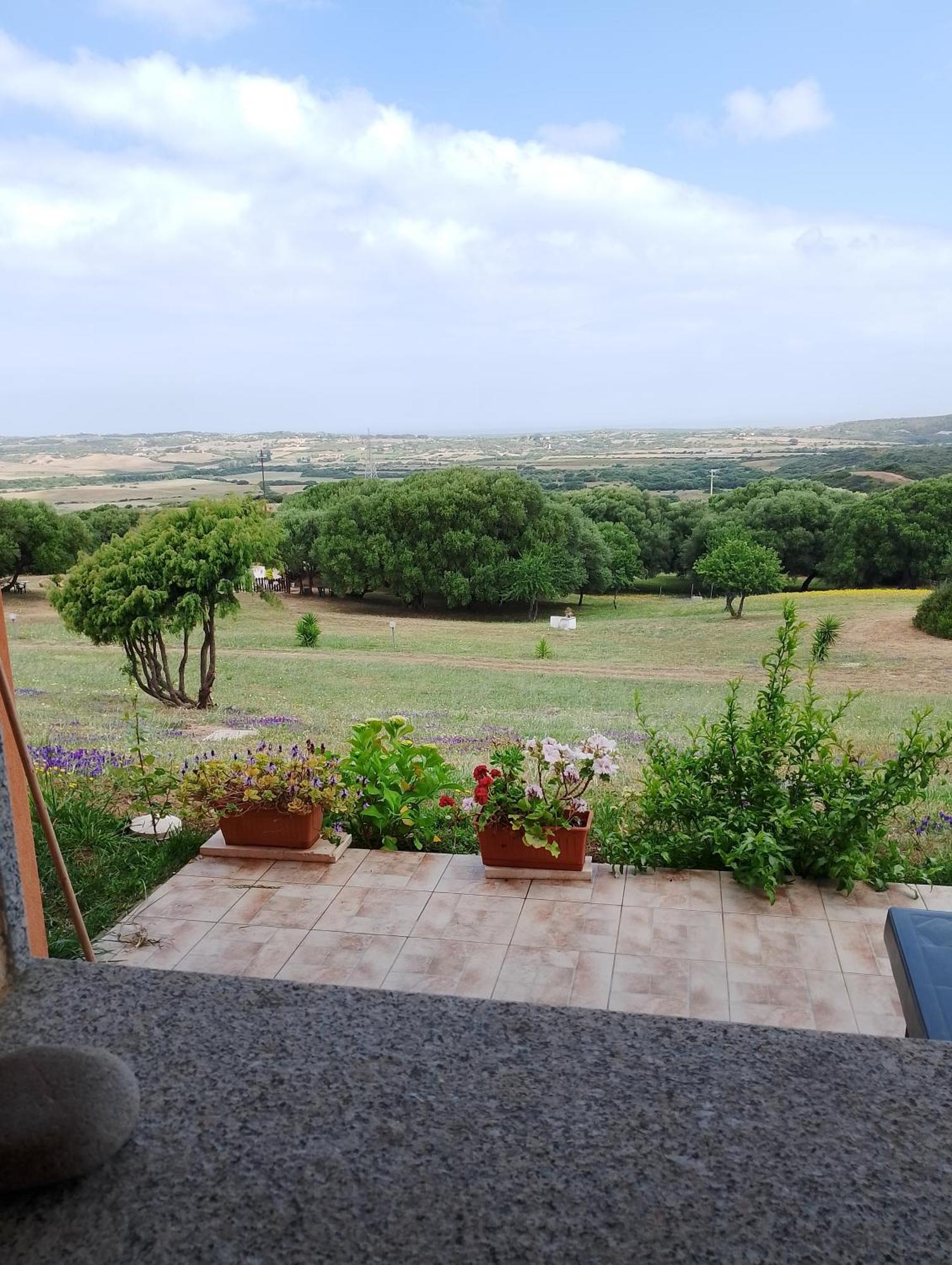 Gli Olivastri Con Piscina,Solarium, Vista Mare ,Sole -Mare E Tanta Natura ,Climatizzatore,Wifi 阿列恩图 外观 照片