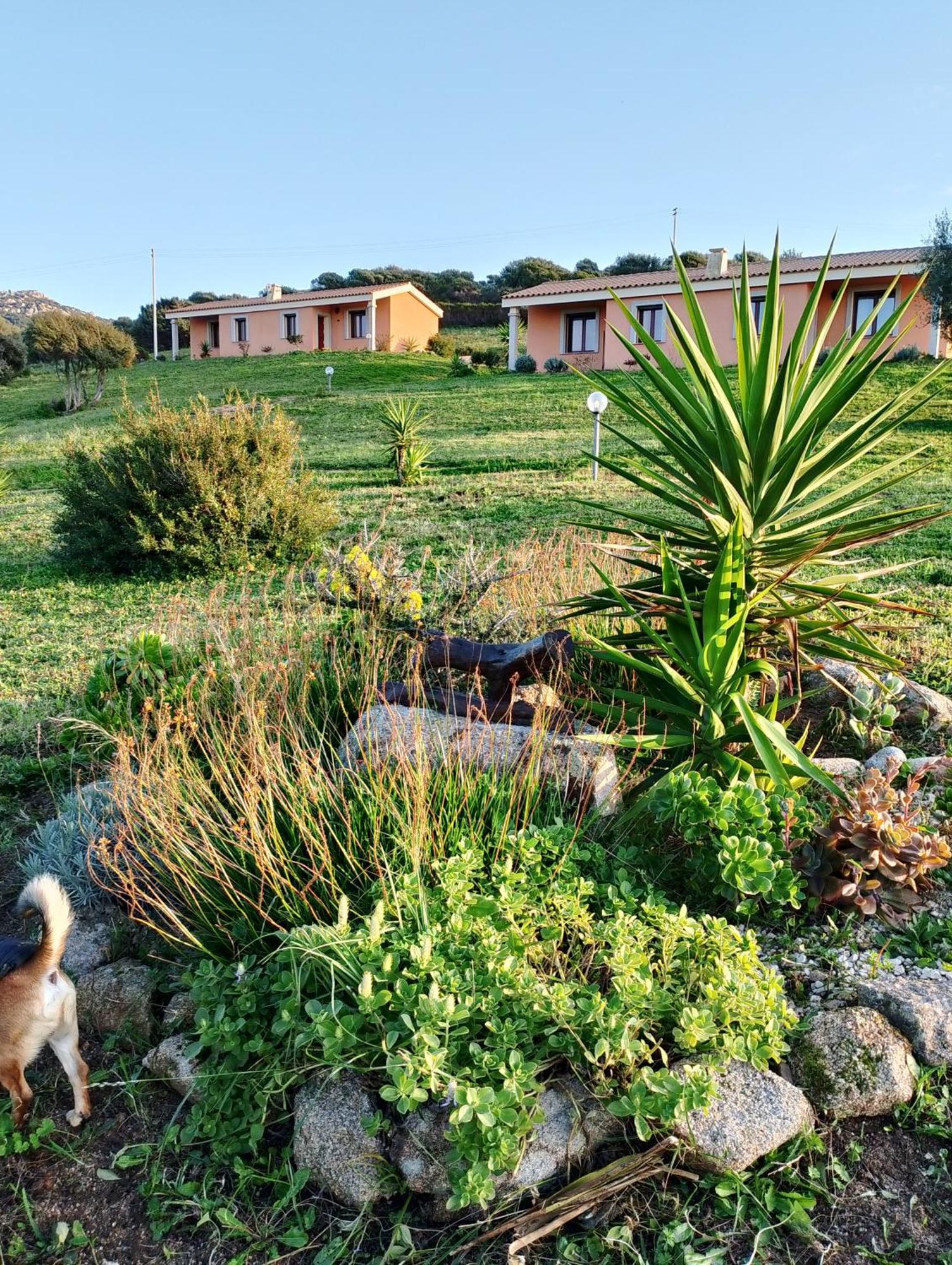 Gli Olivastri Con Piscina,Solarium, Vista Mare ,Sole -Mare E Tanta Natura ,Climatizzatore,Wifi 阿列恩图 外观 照片