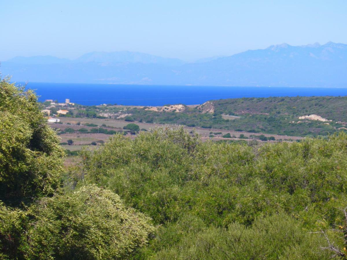 Gli Olivastri Con Piscina,Solarium, Vista Mare ,Sole -Mare E Tanta Natura ,Climatizzatore,Wifi 阿列恩图 外观 照片