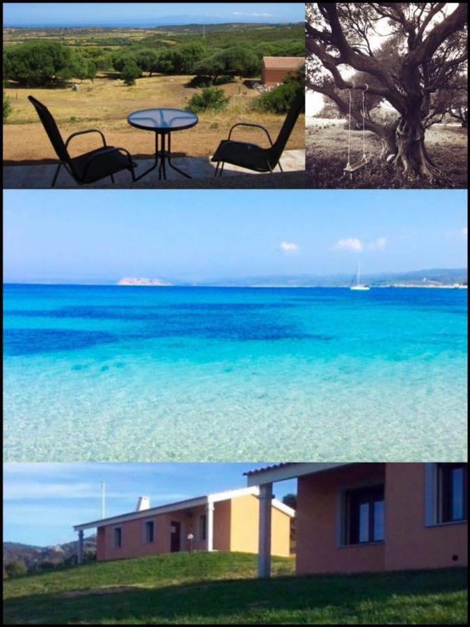 Gli Olivastri Con Piscina,Solarium, Vista Mare ,Sole -Mare E Tanta Natura ,Climatizzatore,Wifi 阿列恩图 外观 照片